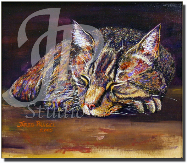 "Kiki's Slumber"; Cat; Artist Jared Pragel